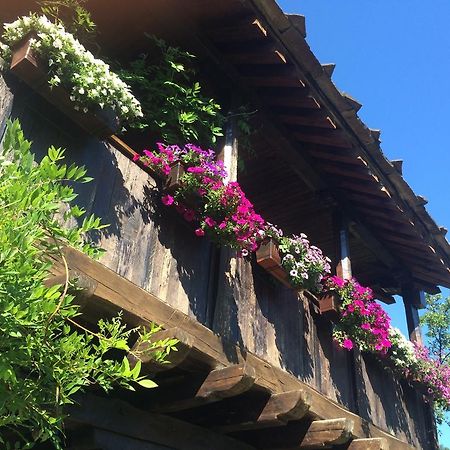 Stefanina Guesthouse Bozhentsi Exteriör bild