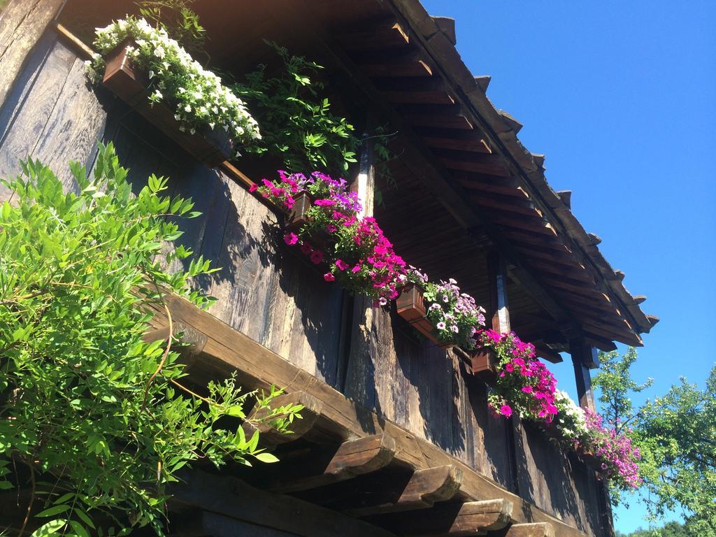 Stefanina Guesthouse Bozhentsi Exteriör bild