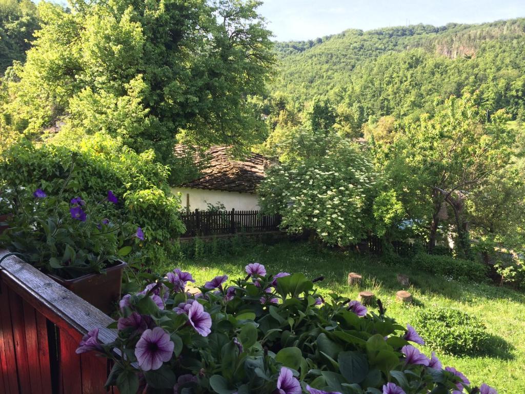 Stefanina Guesthouse Bozhentsi Exteriör bild